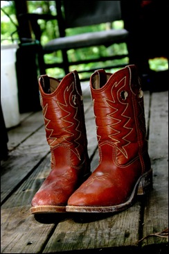 10583cowboy_boots